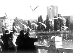 Đón giao thừa ở “Xuân thành” ảnh 2