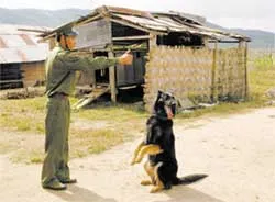 Nơi mùa xuân đến sớm