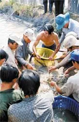 Đầu năm bàn chuyện quy hoạch, phát triển