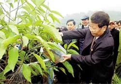 Tết trồng cây tại ATK Định Hóa