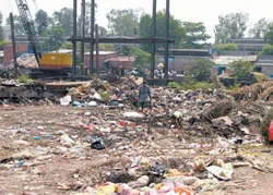 Đường Hàm Tử (Q5): Ruồi nhiều do rác