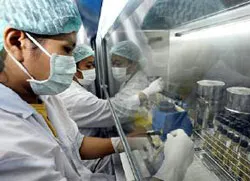 Thành công trong sản xuất vaccine H5N1