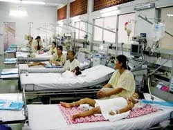 Sốt xuất huyết có chiều hướng tăng