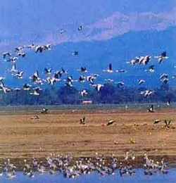 Kỷ niệm 35 năm ngày " Đất ngập nước thế giới "