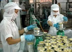 Quy hoạch chung khu đô thị Tây-Bắc TP Hồ Chí Minh ảnh 4