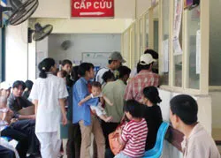 Bệnh đường tiêu hóa, viêm hô hấp tăng