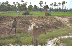 Thành lập 2 đặc khu kinh tế giáp biên giới Việt Nam