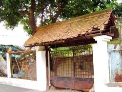 11 năm “án binh bất động”