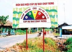 Rừng khô chực chờ cháy