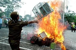 Dịch cúm gia cầm bùng phát trở lại