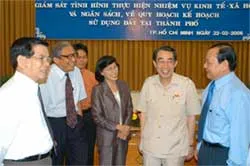 3 vấn đề nổi lên trong sử dụng đất đai tại TPHCM