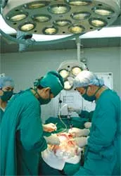 Những cánh én dệt mùa xuân…