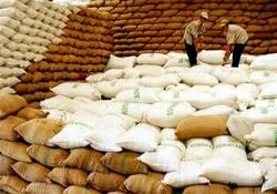 Đã mạnh về lượng và sẽ mạnh cả về chất