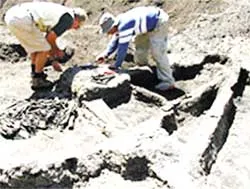 Phát hiện dấu vết nền văn minh Tambora