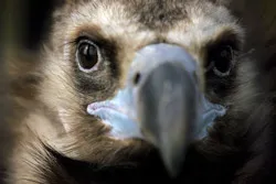 Không một quốc gia nào có thể an toàn