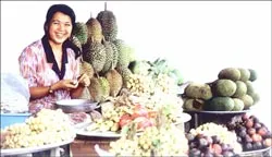 Về thăm vương quốc trái cây