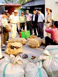 Cảnh báo nguy cơ rừng rỗng