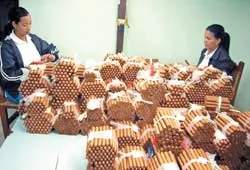 Liên hoan xì gà quốc tế tại Cuba