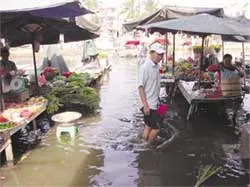 Thiệt hại gia tăng!