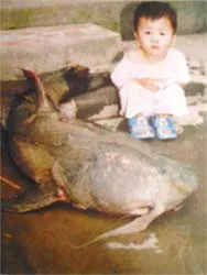 Nguy cơ cạn kiệt loài cá quý