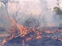 Cảnh báo nguy cơ cháy rừng phòng hộ mùa khô