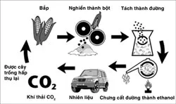 Ethanol – nguồn nhiên liệu thay thế đầy triển vọng