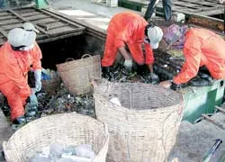 Thí điểm phân loại rác tại nguồn