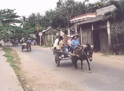 Du lịch sinh thái – khó nhận dạng