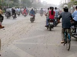 Xả bê tông xuống đường!