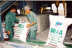 Giá phân bón tăng mạnh