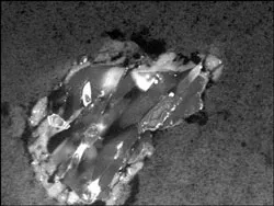 Nhiều phát hiện bất ngờ từ bụi sao chổi