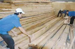 Mua rừng, lập nhà máy ở nước ngoài