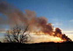 Hơn 1,5 triệu ha rừng ở Texas bị thiêu rụi