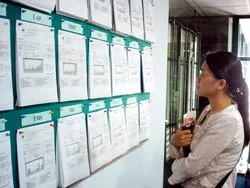 Cơn“sốt”ảo? ảnh 2