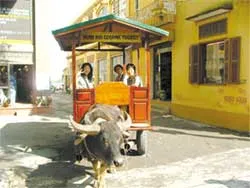 Về Bát Tràng đi xe trâu