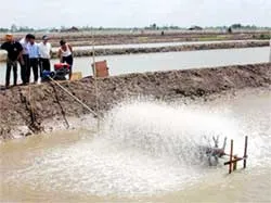 Nước ngầm bị khai thác quá mức