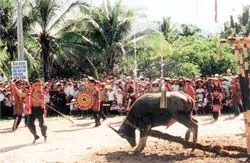 Hãy “cải thiện” du lịch lễ hội