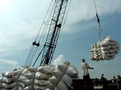 Gạo xuất khẩu loại 5% tấm tăng giá