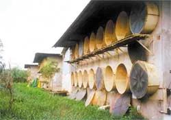 Lắng nghe ý kiến hộ nuôi tập trung