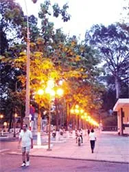 Ai lãng phí điện?