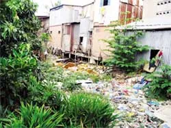 Làm cầu bít đường thoát nước