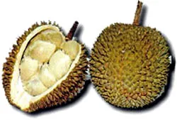 Ngon, bổ nhưng không nên ăn nhiều…