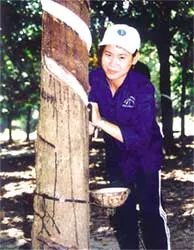 Bước chuyển mình của một xí nghiệp liên doanh