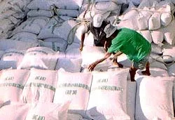 Nông dân vẫn nghèo...