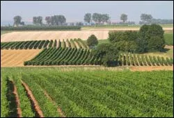 Xin chuyển nhưng không chuyển