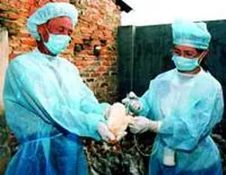 Hơn 18,6 triệu con gia cầm được tiêm vaccine