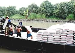 Bài 5: Thất thoát - Nỗi khổ của nhà nông