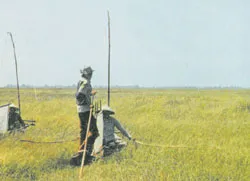 Tìm đâu Nàng Thơm Chợ Đào?