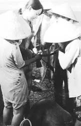 Ai về Hà Tiên nhớ mua mắm ruốc