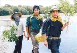 Tìm về một thời tuổi trẻ